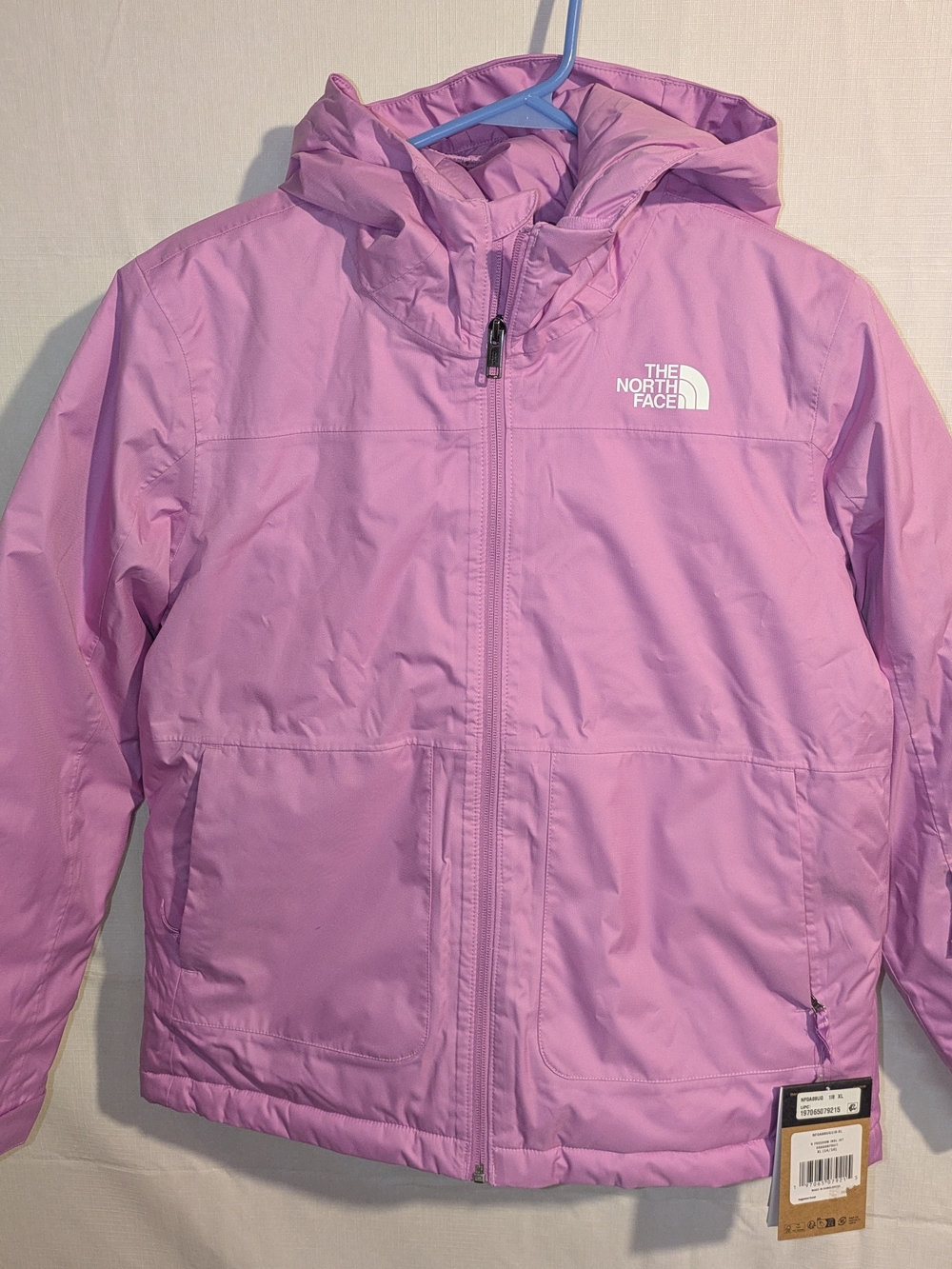 The North Face Freedom Insulated Hooded Puffer Jacket